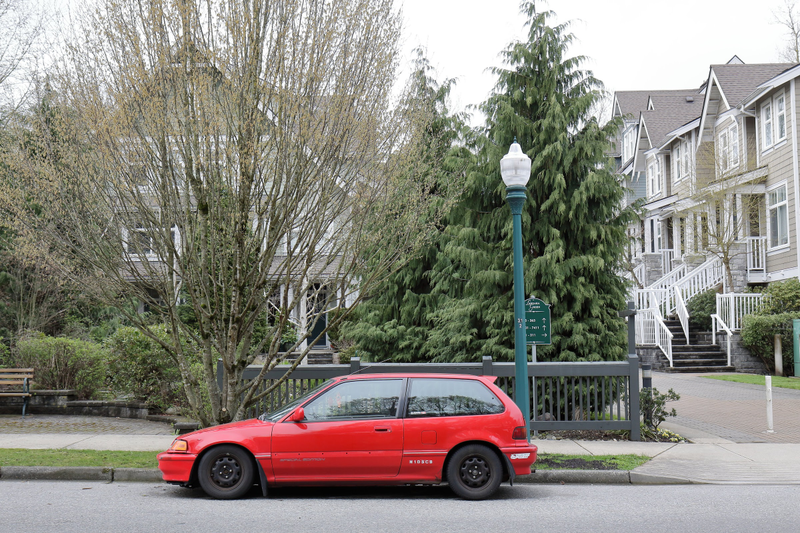 Illustration for article titled Pics from the Curbside: 2018-04-08 from Langara Gardens